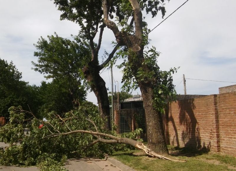 Alarma en Barrio Covendiar.